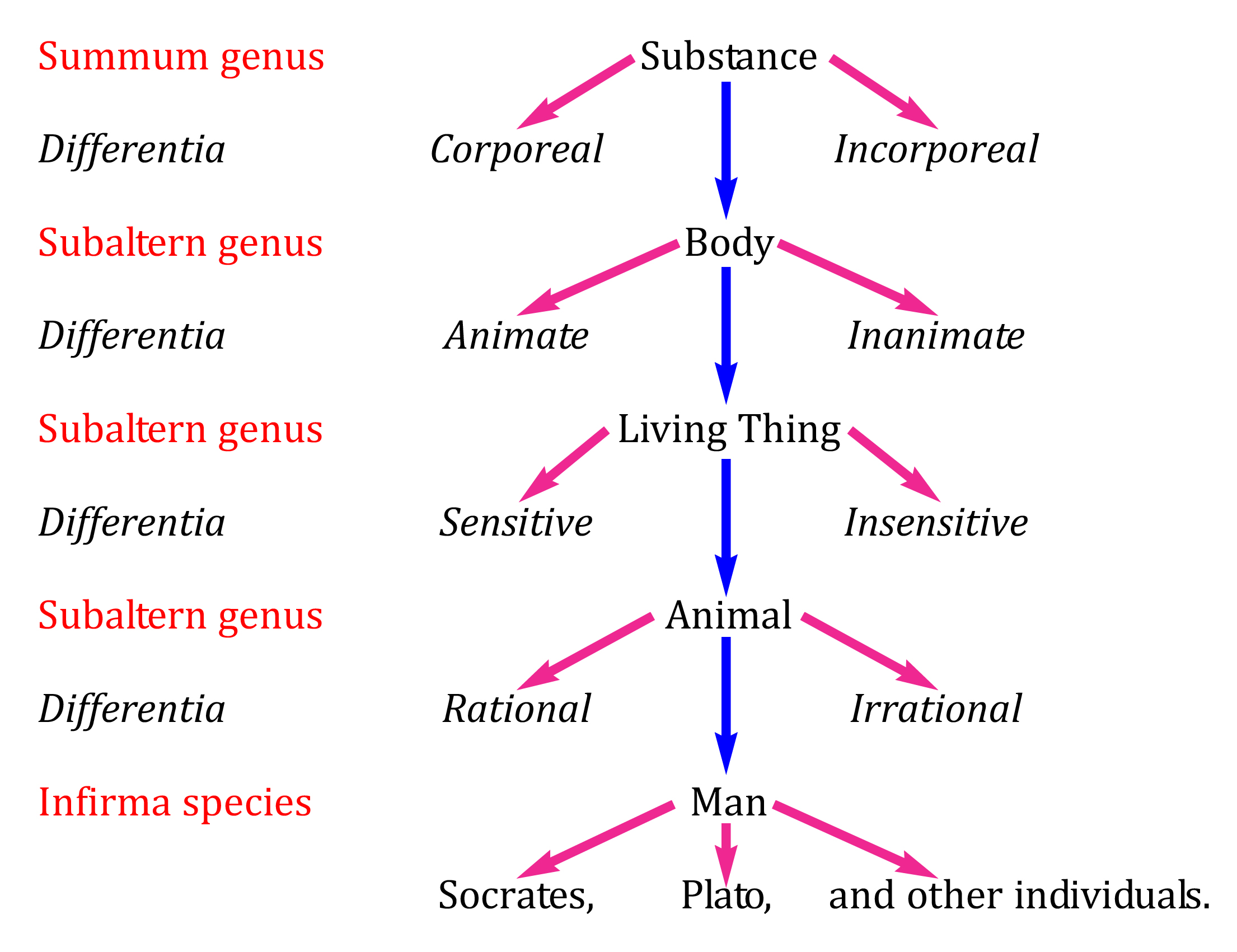 TreeOfPorphyry